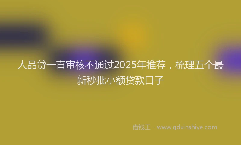 人品贷一直审核不通过2025年推荐，梳理五个最新秒批小额贷款口子