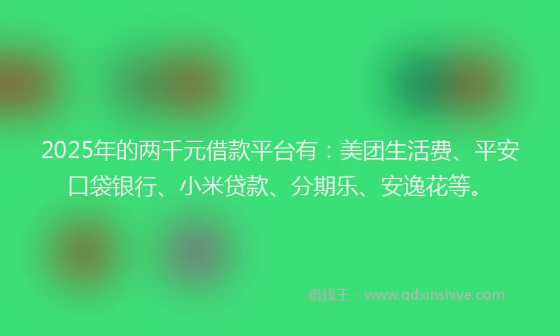 2025年的两千元借款平台有：美团生活费、平安口袋银行、小米贷款、分期乐、安逸花等。