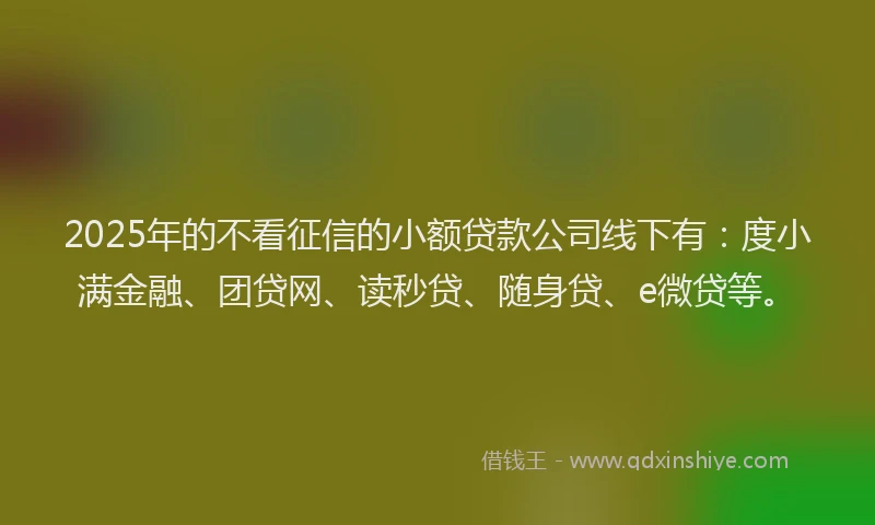 2025年的不看征信的小额贷款公司线下有：度小满金融、团贷网、读秒贷、随身贷、e微贷等。