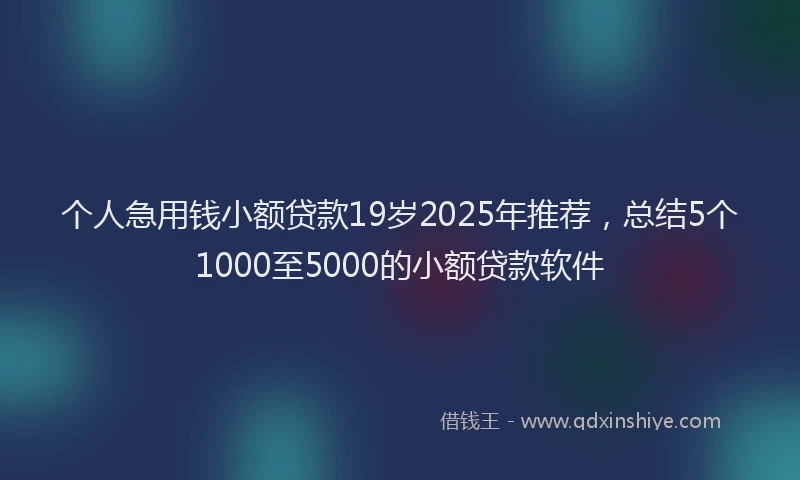 个人急用钱小额贷款19岁2025年推荐，总结5个1000至5000的小额贷款软件