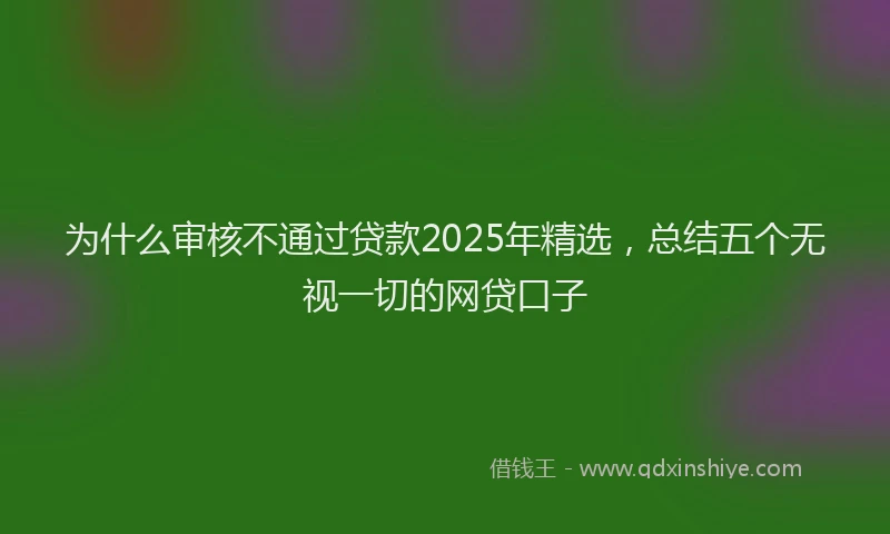 为什么审核不通过贷款2025年精选，总结五个无视一切的网贷口子
