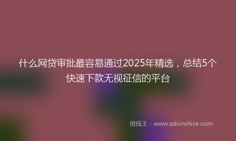 什么网贷审批最容易通过2025年精选，总结5个快速下款无视征信的平台