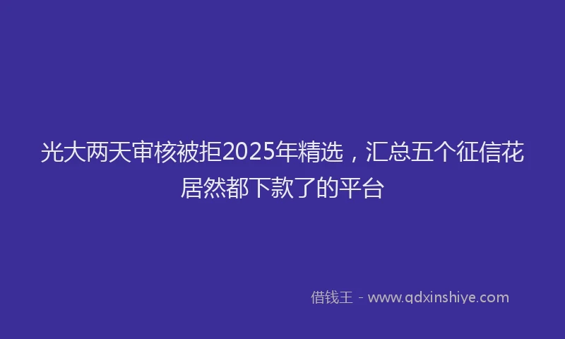 光大两天审核被拒2025年精选，汇总五个征信花居然都下款了的平台