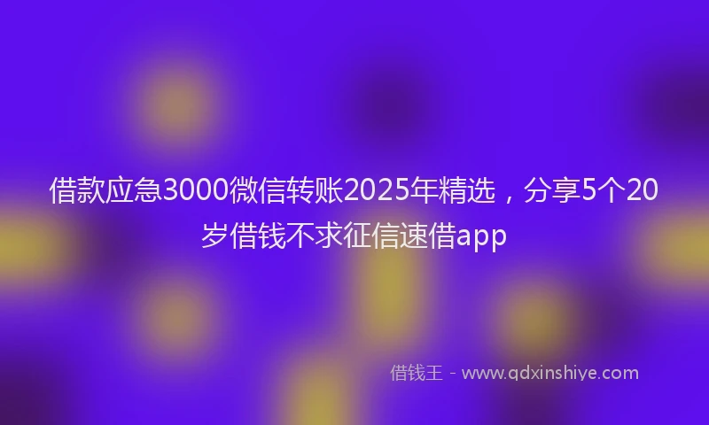 借款应急3000微信转账2025年精选，分享5个20岁借钱不求征信速借app