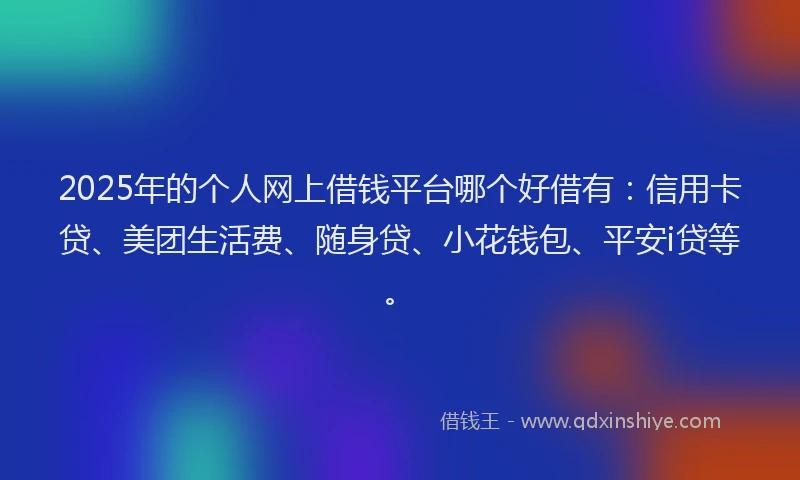 2025年的个人网上借钱平台哪个好借有：信用卡贷、美团生活费、随身贷、小花钱包、平安i贷等。