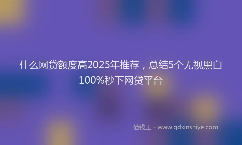 什么网贷额度高2025年推荐，总结5个无视黑白100%秒下网贷平台