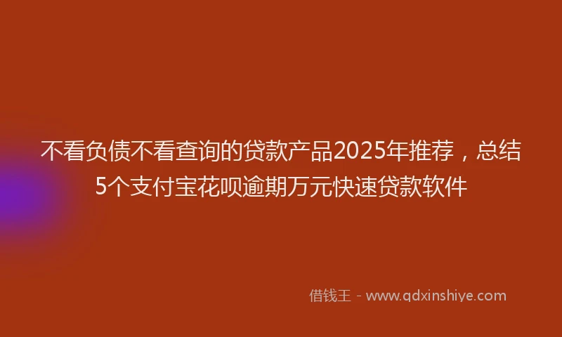 不看负债不看查询的贷款产品2025年推荐，总结5个支付宝花呗逾期万元快速贷款软件