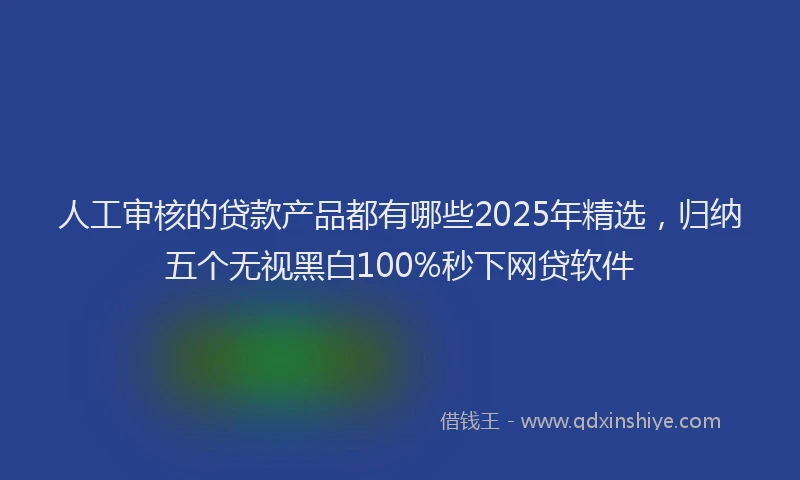 人工审核的贷款产品都有哪些2025年精选，归纳五个无视黑白100%秒下网贷软件