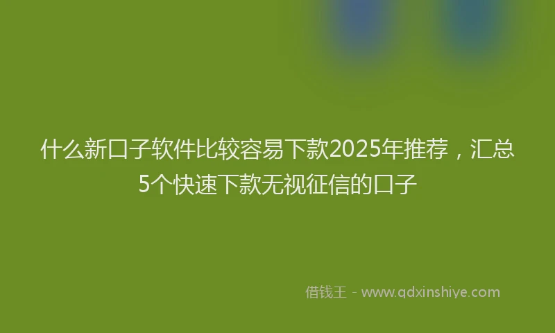 什么新口子软件比较容易下款2025年推荐，汇总5个快速下款无视征信的口子