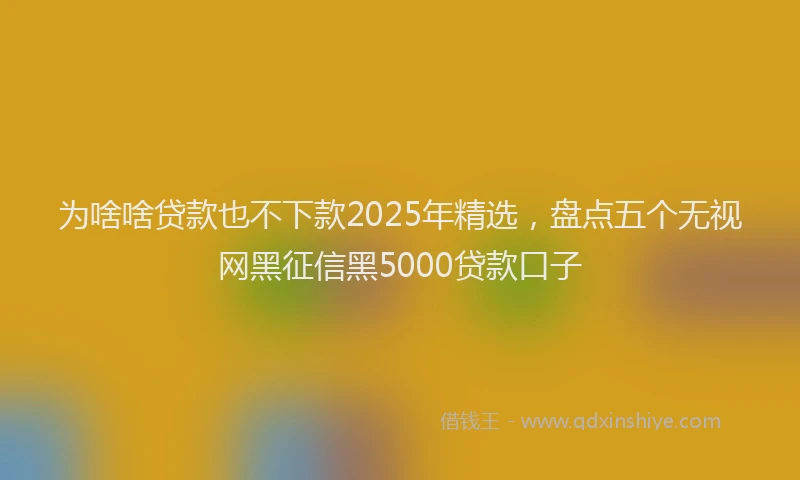 为啥啥贷款也不下款2025年精选，盘点五个无视网黑征信黑5000贷款口子