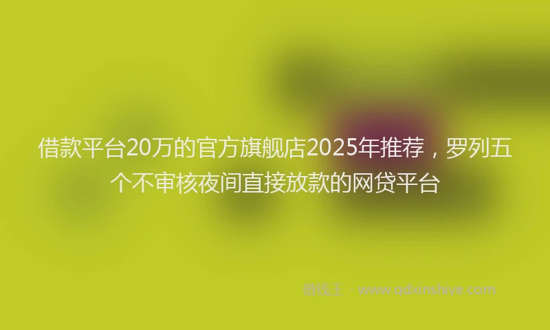 借款平台20万的官方旗舰店2025年推荐，罗列五个不审核夜间直接放款的网贷平台