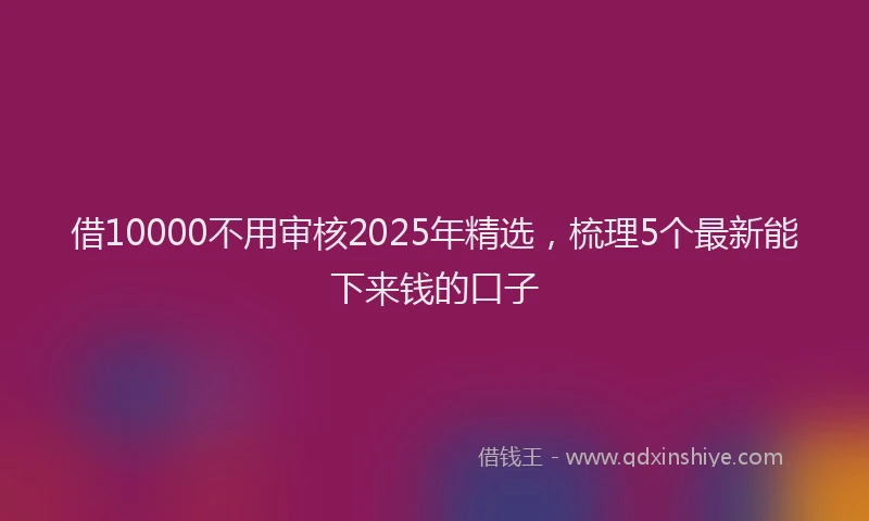 借10000不用审核2025年精选，梳理5个最新能下来钱的口子