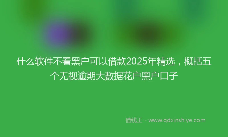 什么软件不看黑户可以借款2025年精选，概括五个无视逾期大数据花户黑户口子