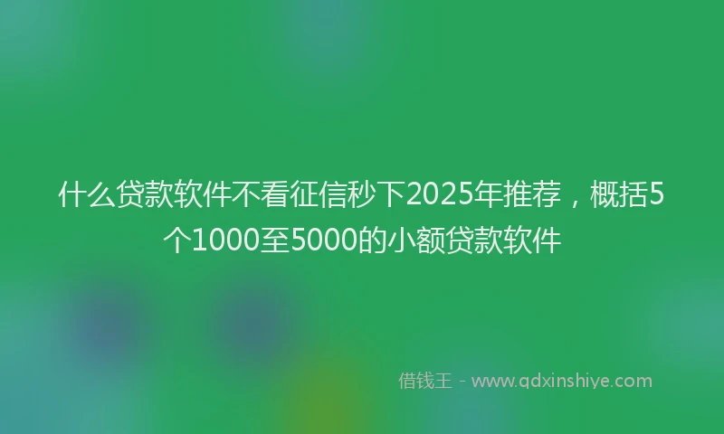 什么贷款软件不看征信秒下2025年推荐，概括5个1000至5000的小额贷款软件