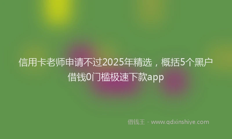 信用卡老师申请不过2025年精选，概括5个黑户借钱0门槛极速下款app
