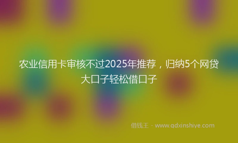 农业信用卡审核不过2025年推荐，归纳5个网贷大口子轻松借口子