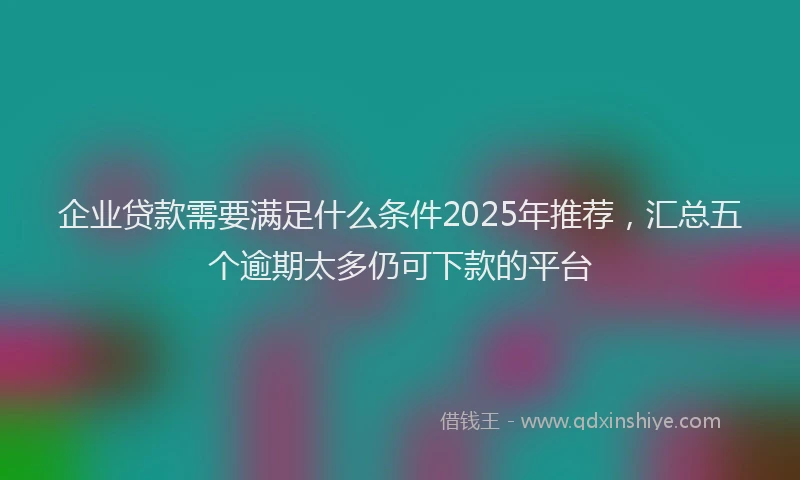 企业贷款需要满足什么条件2025年推荐，汇总五个逾期太多仍可下款的平台