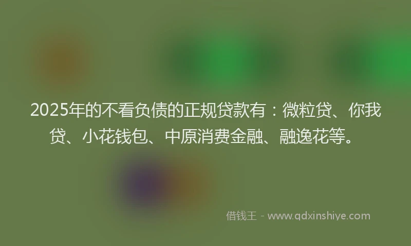 2025年的不看负债的正规贷款有：微粒贷、你我贷、小花钱包、中原消费金融、融逸花等。