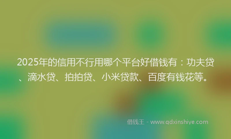 2025年的信用不行用哪个平台好借钱有：功夫贷、滴水贷、拍拍贷、小米贷款、百度有钱花等。
