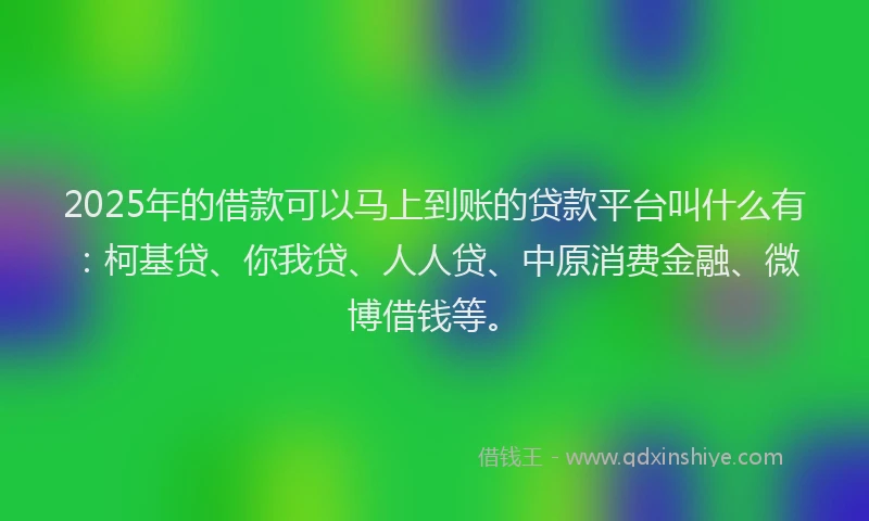 2025年的借款可以马上到账的贷款平台叫什么有：柯基贷、你我贷、人人贷、中原消费金融、微博借钱等。