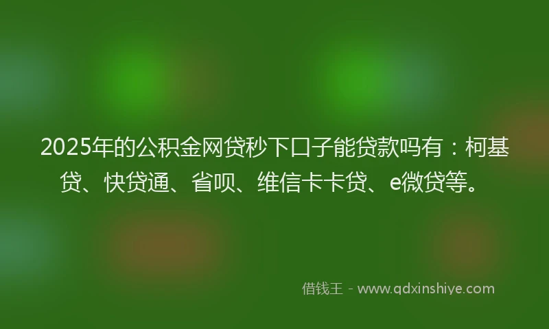 2025年的公积金网贷秒下口子能贷款吗有：柯基贷、快贷通、省呗、维信卡卡贷、e微贷等。