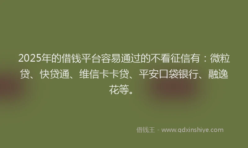 2025年的借钱平台容易通过的不看征信有：微粒贷、快贷通、维信卡卡贷、平安口袋银行、融逸花等。