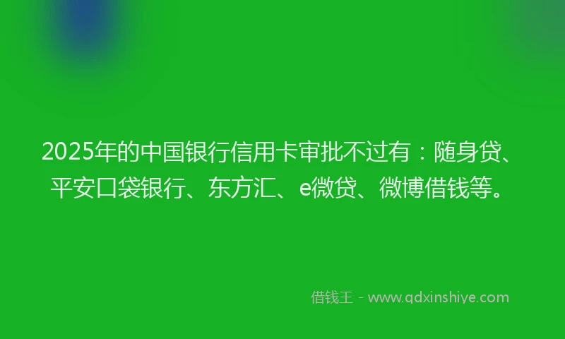 2025年的中国银行信用卡审批不过有：随身贷、平安口袋银行、东方汇、e微贷、微博借钱等。