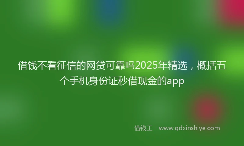 借钱不看征信的网贷可靠吗2025年精选，概括五个手机身份证秒借现金的app