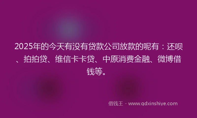 2025年的今天有没有贷款公司放款的呢有：还呗、拍拍贷、维信卡卡贷、中原消费金融、微博借钱等。
