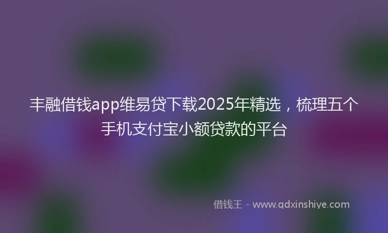 丰融借钱app维易贷下载2025年精选，梳理五个手机支付宝小额贷款的平台