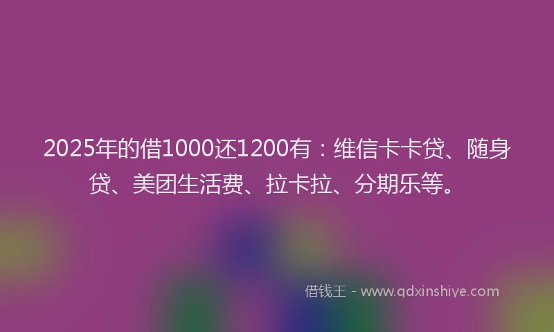 2025年的借1000还1200有：维信卡卡贷、随身贷、美团生活费、拉卡拉、分期乐等。