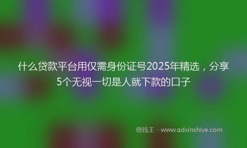 什么贷款平台用仅需身份证号2025年精选，分享5个无视一切是人就下款的口子