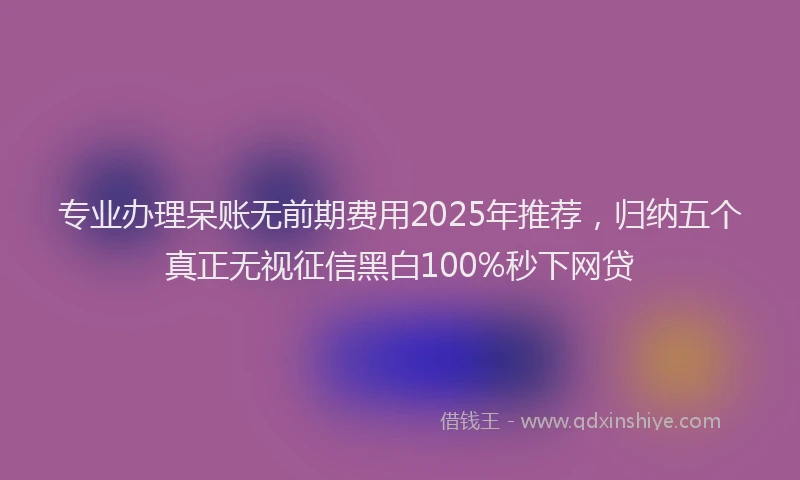 专业办理呆账无前期费用2025年推荐，归纳五个真正无视征信黑白100%秒下网贷