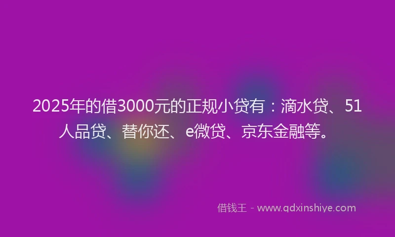 2025年的借3000元的正规小贷有：滴水贷、51人品贷、替你还、e微贷、京东金融等。
