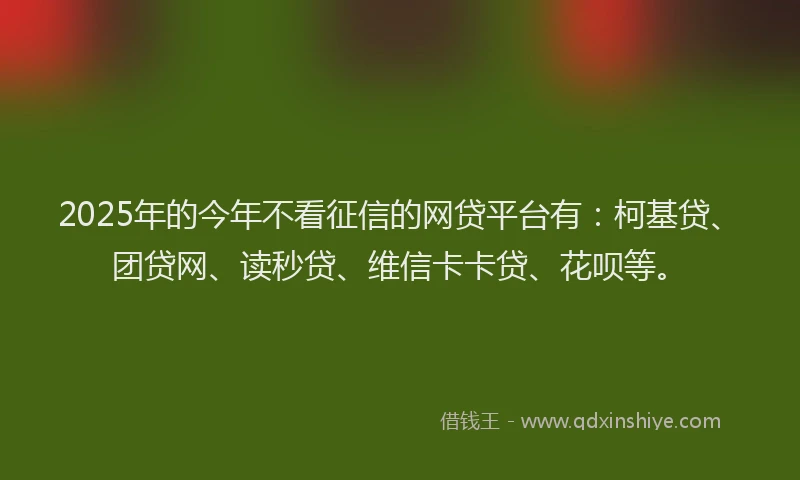 2025年的今年不看征信的网贷平台有：柯基贷、团贷网、读秒贷、维信卡卡贷、花呗等。