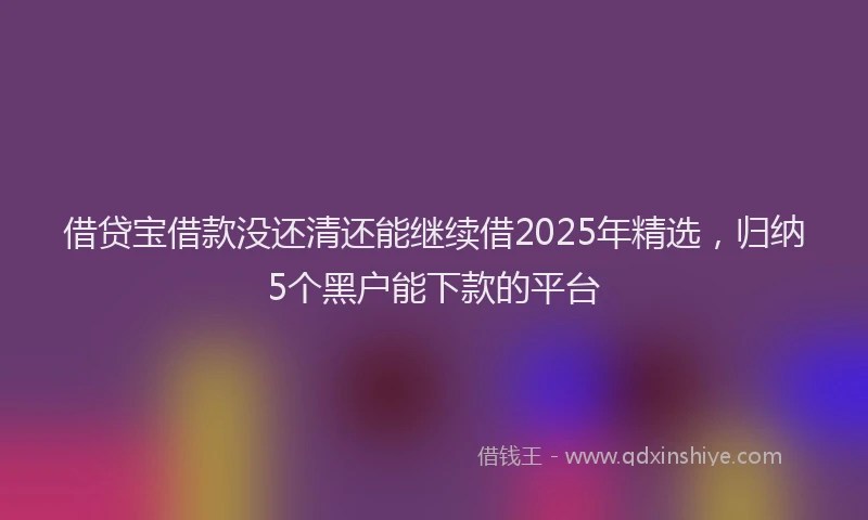 借贷宝借款没还清还能继续借2025年精选，归纳5个黑户能下款的平台