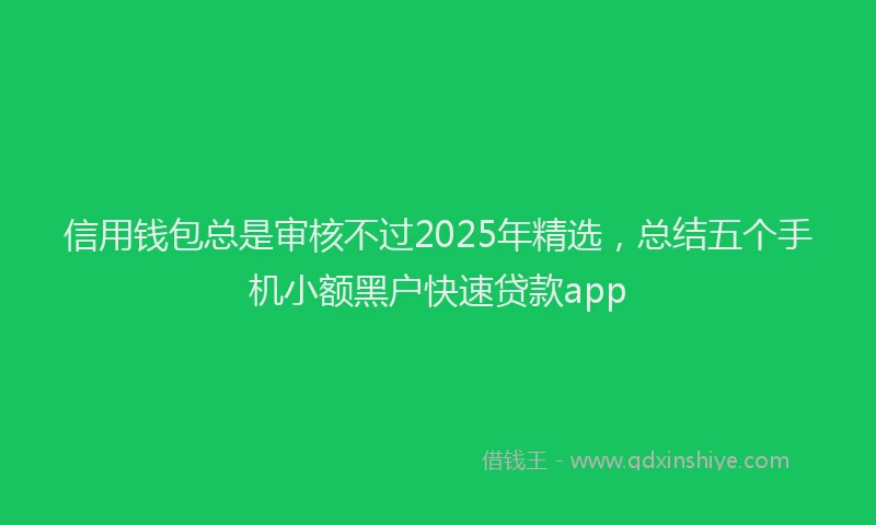 信用钱包总是审核不过2025年精选，总结五个手机小额黑户快速贷款app