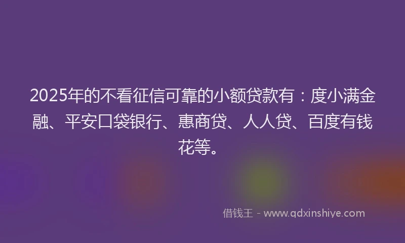 2025年的不看征信可靠的小额贷款有：度小满金融、平安口袋银行、惠商贷、人人贷、百度有钱花等。