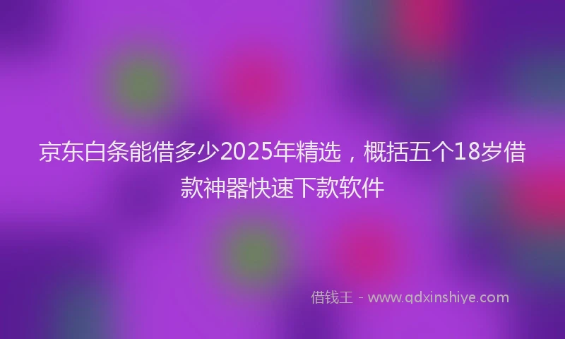 京东白条能借多少2025年精选，概括五个18岁借款神器快速下款软件