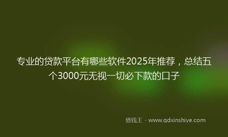 专业的贷款平台有哪些软件2025年推荐，总结五个3000元无视一切必下款的口子