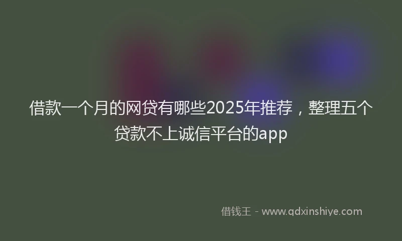 借款一个月的网贷有哪些2025年推荐，整理五个贷款不上诚信平台的app