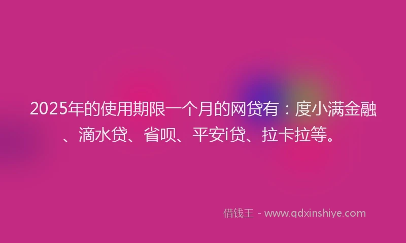 2025年的使用期限一个月的网贷有：度小满金融、滴水贷、省呗、平安i贷、拉卡拉等。