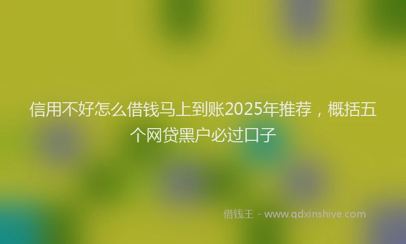 信用不好怎么借钱马上到账2025年推荐，概括五个网贷黑户必过口子