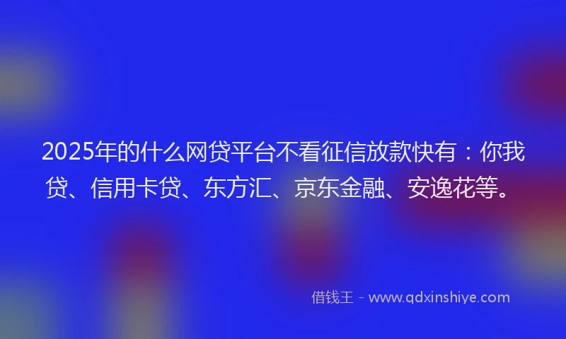 2025年的什么网贷平台不看征信放款快有：你我贷、信用卡贷、东方汇、京东金融、安逸花等。