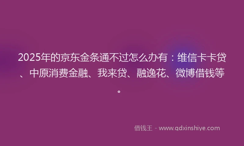 2025年的京东金条通不过怎么办有:维信卡卡贷、中原消费金融、我来贷、融逸花、微博借钱等。