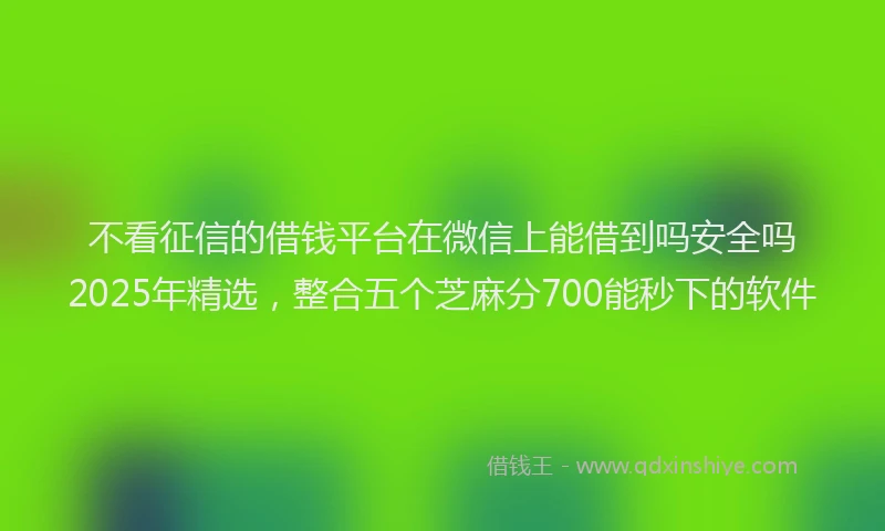 不看征信的借钱平台在微信上能借到吗安全吗2025年精选，整合五个芝麻分700能秒下的软件