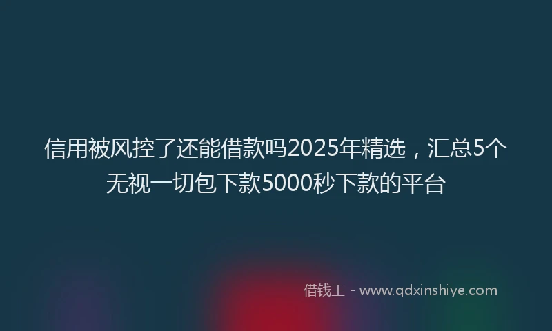 信用被风控了还能借款吗2025年精选，汇总5个无视一切包下款5000秒下款的平台