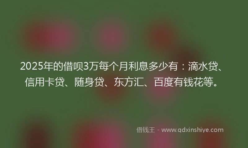 2025年的借呗3万每个月利息多少有：滴水贷、信用卡贷、随身贷、东方汇、百度有钱花等。