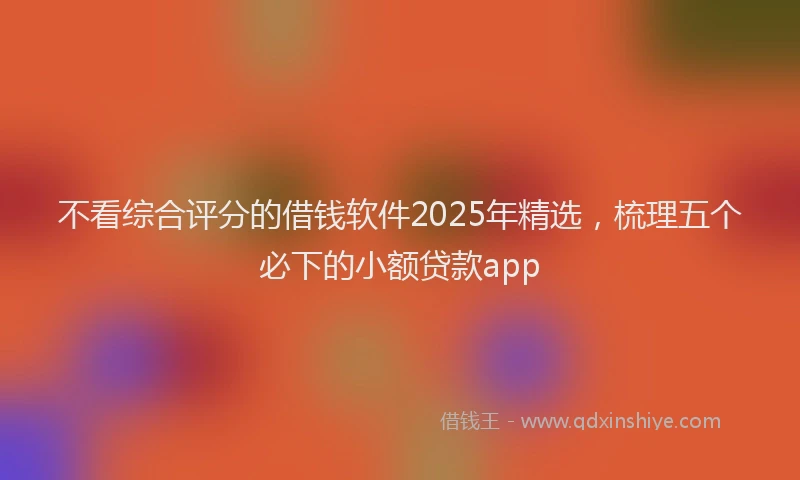 不看综合评分的借钱软件2025年精选，梳理五个必下的小额贷款app