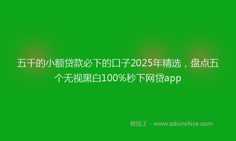 五千的小额贷款必下的口子2025年精选，盘点五个无视黑白100%秒下网贷app